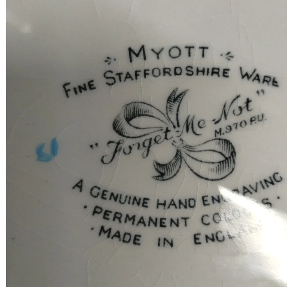 Myott Forget Me Not Blue Floral Oval Platter England Staffordshire Ware‎